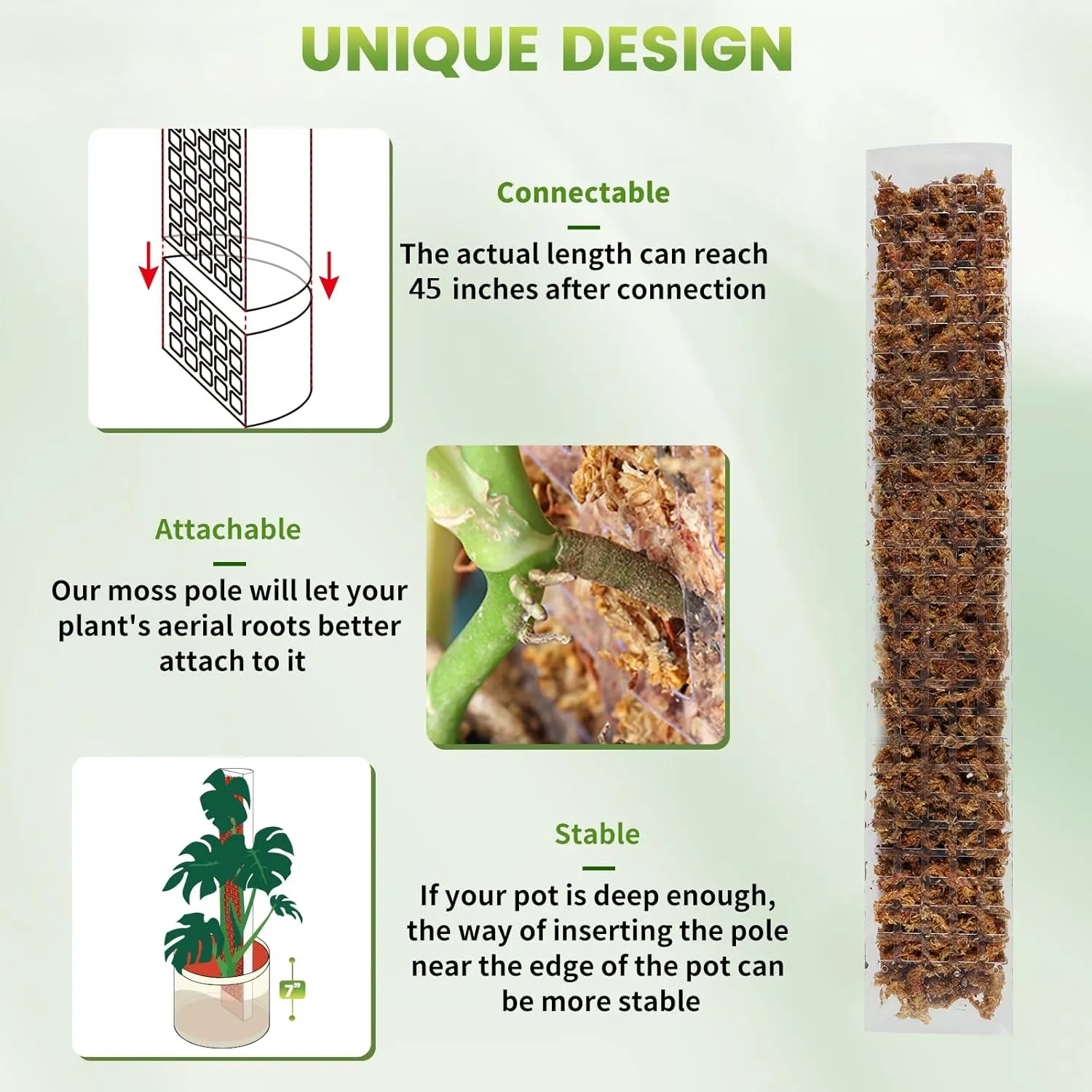 24 Inch 6 Pcs Plastic Moss Pole for Plants Monstera, 6×24'' Plant Poles for Climbing Plants, Plant Support for Indoor Plants Work with Sphagnum Moss