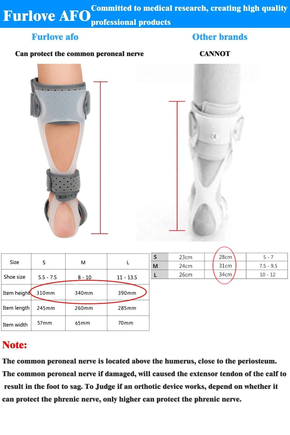 AFO Drop Foot Brace Medical Ankle Foot Orthosis Support Foot Drop Postural Correction Brace (Right/M)