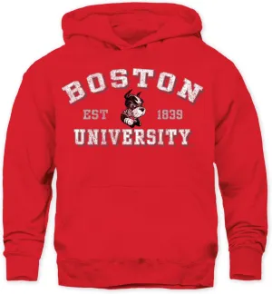 Barnesmith NCAA Unisex Youth Hooded Sweatshirt, Vintage Logo, Color