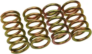 Barnett Performance Products 501-57-04007 - Clutch Spring Kit