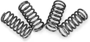 BBR Motorsports Heavy-Duty Clutch Springs 410-HXR-1005