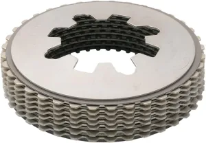 Belt Drives Ltd BDLPCP-0053 Plate Kit for Primo Rivera Belt Drive Clutch/Pro Clutch Kit