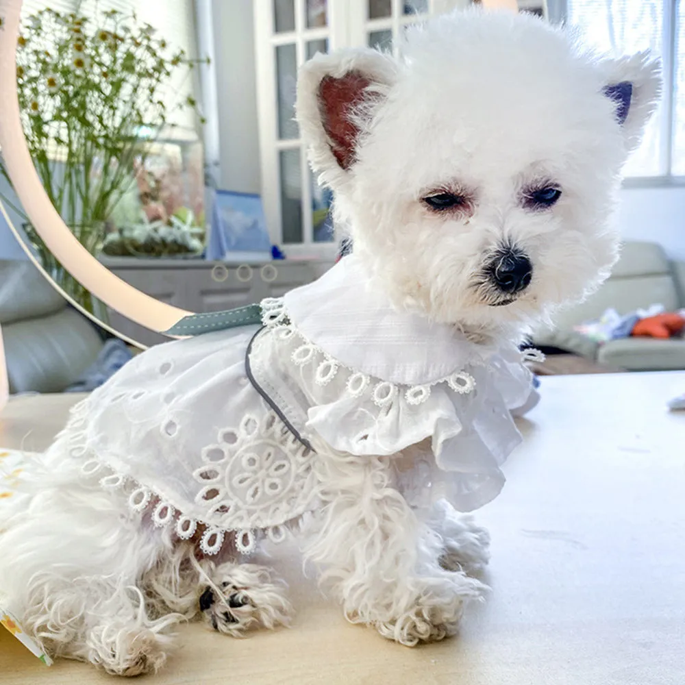 Blue Bowknot Cotton and Linen Dog Dress