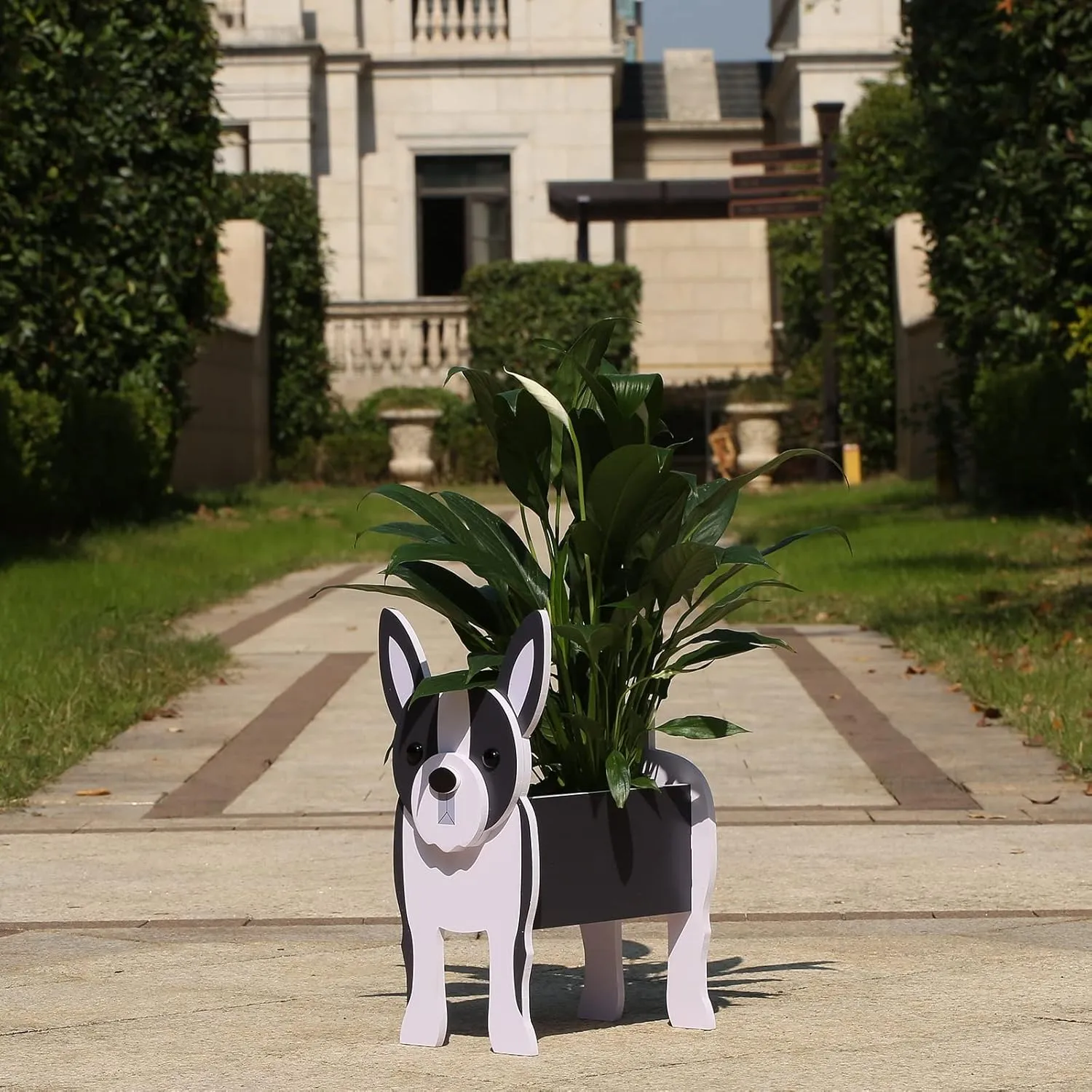 Boston Terrier Gifts for Women, Boston Terrier Dog Planter Plant Pot, Dog Flower Pots for Outdoor Garden Decoration, Boston Terrier Plant Container Holder Office Home Decor Small Boston Terrier