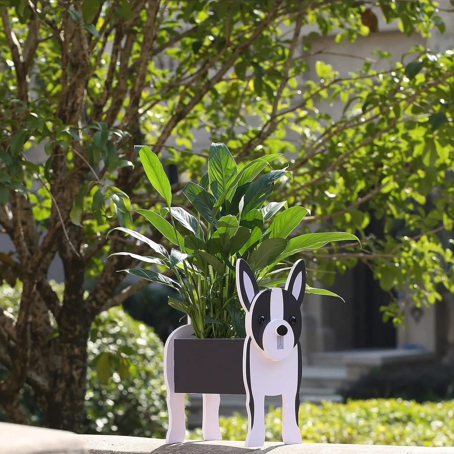 Boston Terrier Gifts for Women, Boston Terrier Dog Planter Plant Pot, Dog Flower Pots for Outdoor Garden Decoration, Boston Terrier Plant Container Holder Office Home Decor Small Boston Terrier
