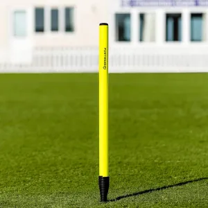 FORTRESS Cricket Target Stump | Spring-Back Design for Bowling & Fielding Drills – Durable PVC Stump with Steel Ground Spike – Ideal for Cricket Training