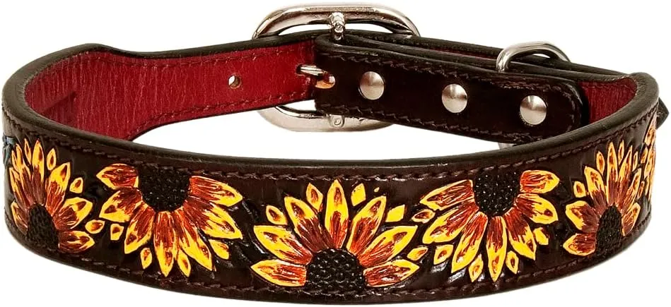 HILASON Brown Large Strong Genuine Leather Dog Collar Painted Large | Dog Collar | Leather Dog Collar | Painted Dog Collar