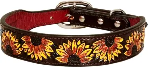 HILASON Brown Large Strong Genuine Leather Dog Collar Painted Large | Dog Collar | Leather Dog Collar | Painted Dog Collar
