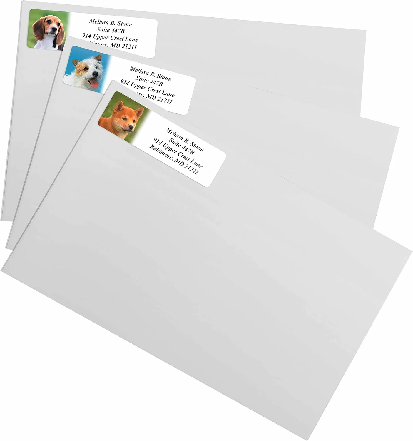 Photo Puppies Designer Assorted Rolled Address Labels with Elegant Plastic Dispenser