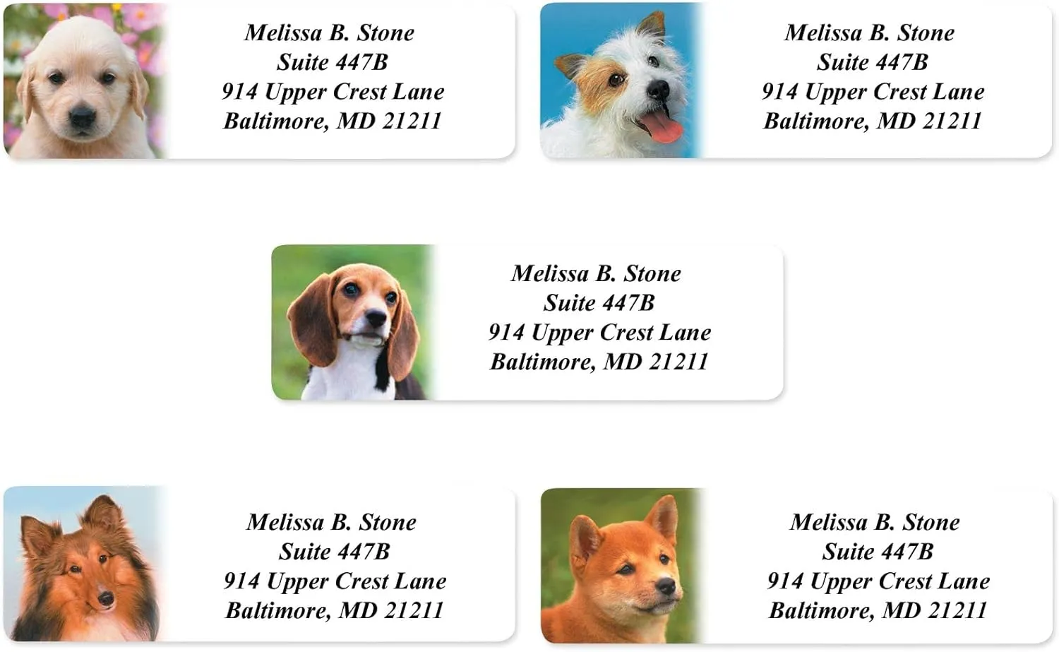 Photo Puppies Designer Assorted Rolled Address Labels with Elegant Plastic Dispenser