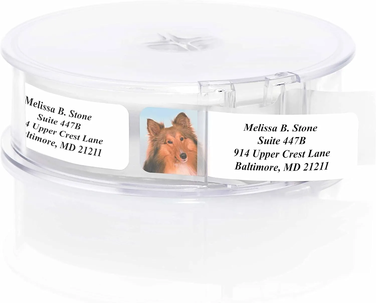 Photo Puppies Designer Assorted Rolled Address Labels with Elegant Plastic Dispenser