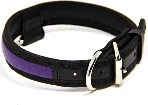 Premium Leather Dog Collar - Best Full Grain Heavy Duty Genuine Leather Collar (Purple, Medium)