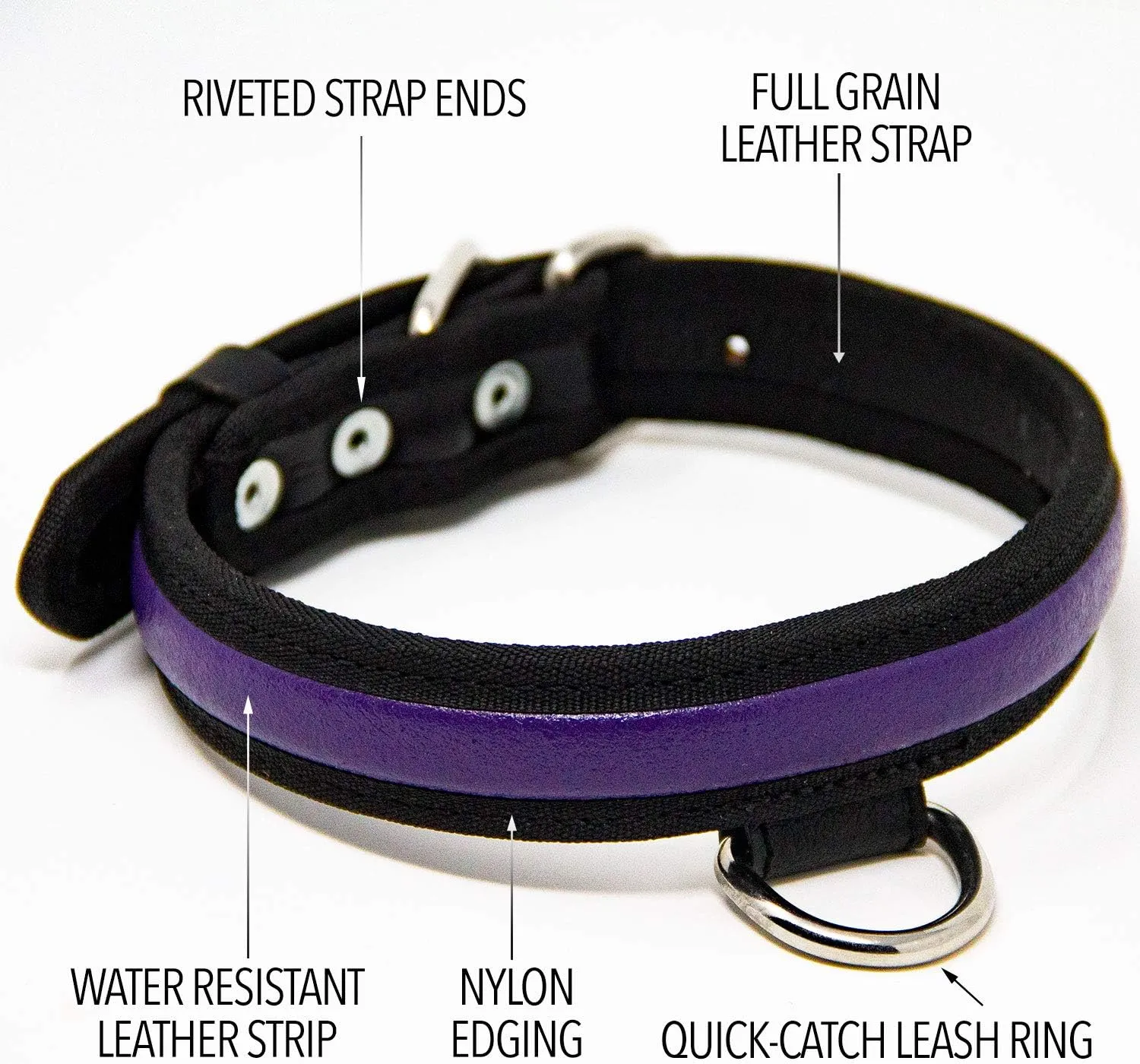 Premium Leather Dog Collar - Best Full Grain Heavy Duty Genuine Leather Collar (Purple, Medium)