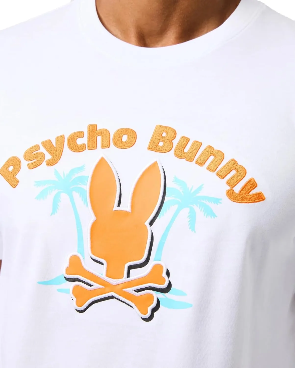 Psycho Bunny Boston Graphic Tee